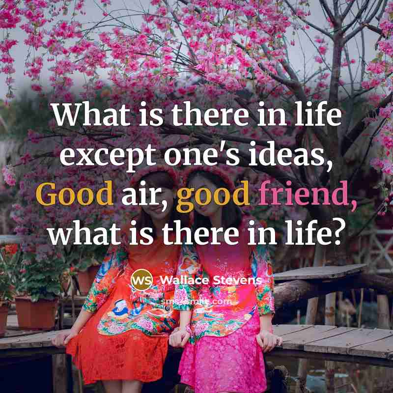 “What is there in life except one's ideas, Good air, good friend, what is there in life?” quote by Wallace Stevens