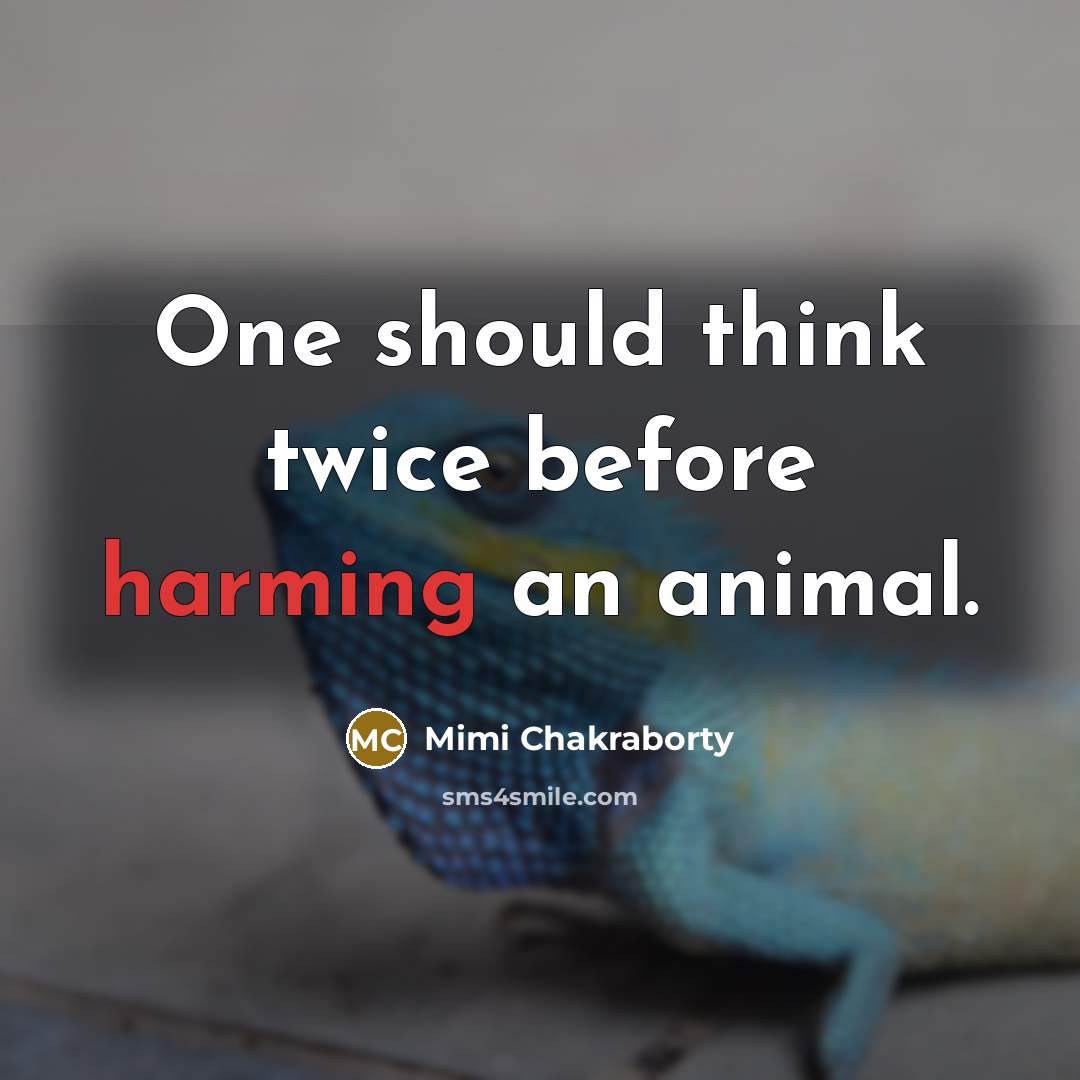“One should think twice before harming an animal.” quote by Mimi Chakraborty