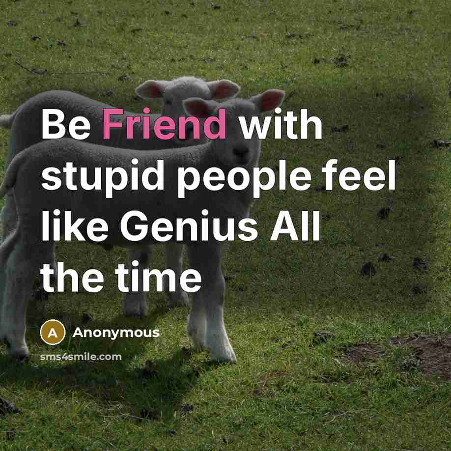 “Be Friend with stupid people feel like Genius All the time” quote by Anonymous
