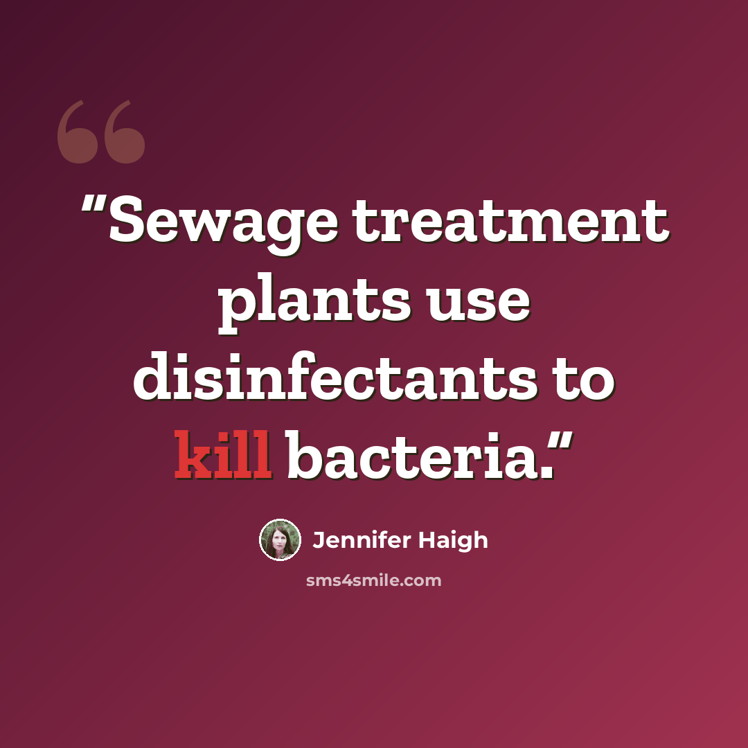 “Sewage treatment plants use disinfectants to kill bacteria.” quote by Jennifer Haigh