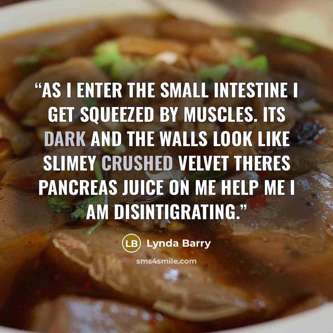 “As I enter the small intestine I get squeezed by muscles. Its dark and the walls look like slimey crushed velvet theres pancreas juice on me help me I am disintigrating.” quote by Lynda Barry