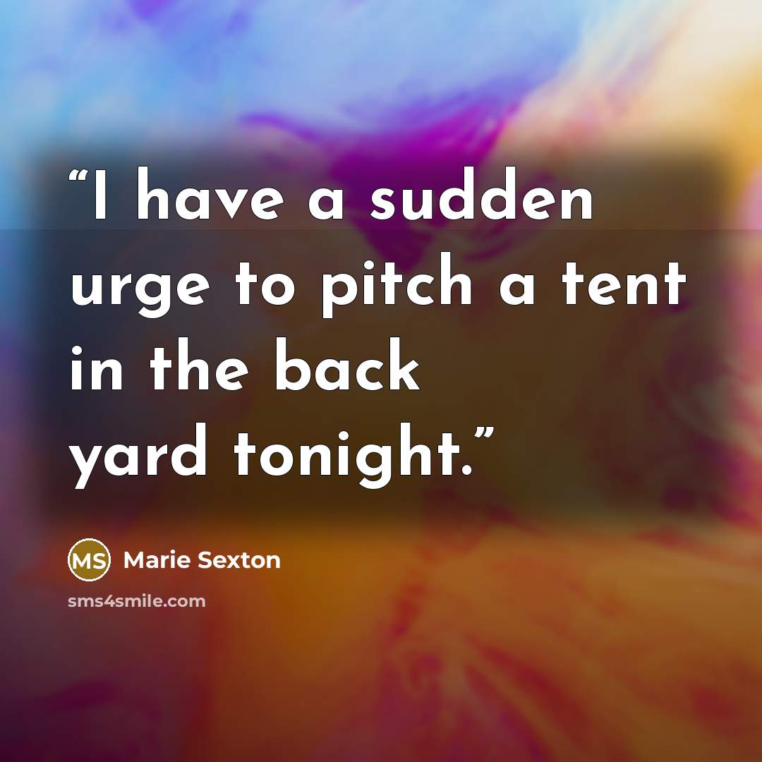 “I have a sudden urge to pitch a tent in the back yard tonight.” quote by Marie Sexton