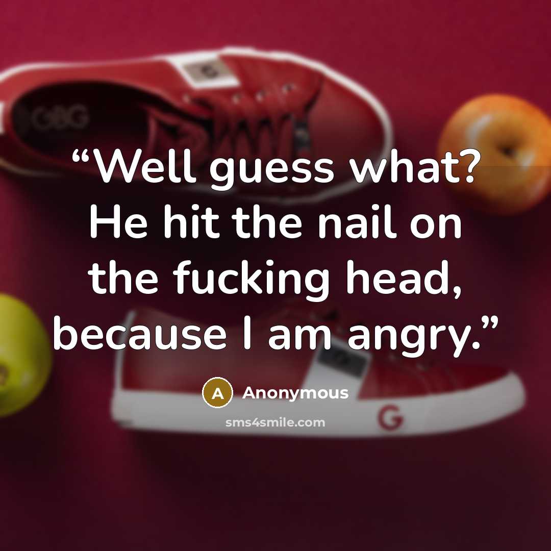 “Well guess what? He hit the nail on the fucking head, because I am angry.” quote by Anonymous