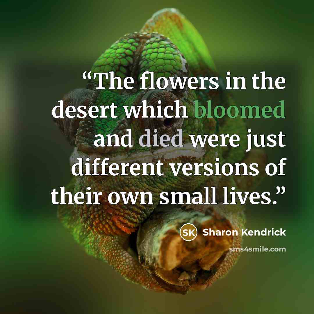 “The flowers in the desert which bloomed and died were just different versions of their own small lives.” quote by Sharon Kendrick