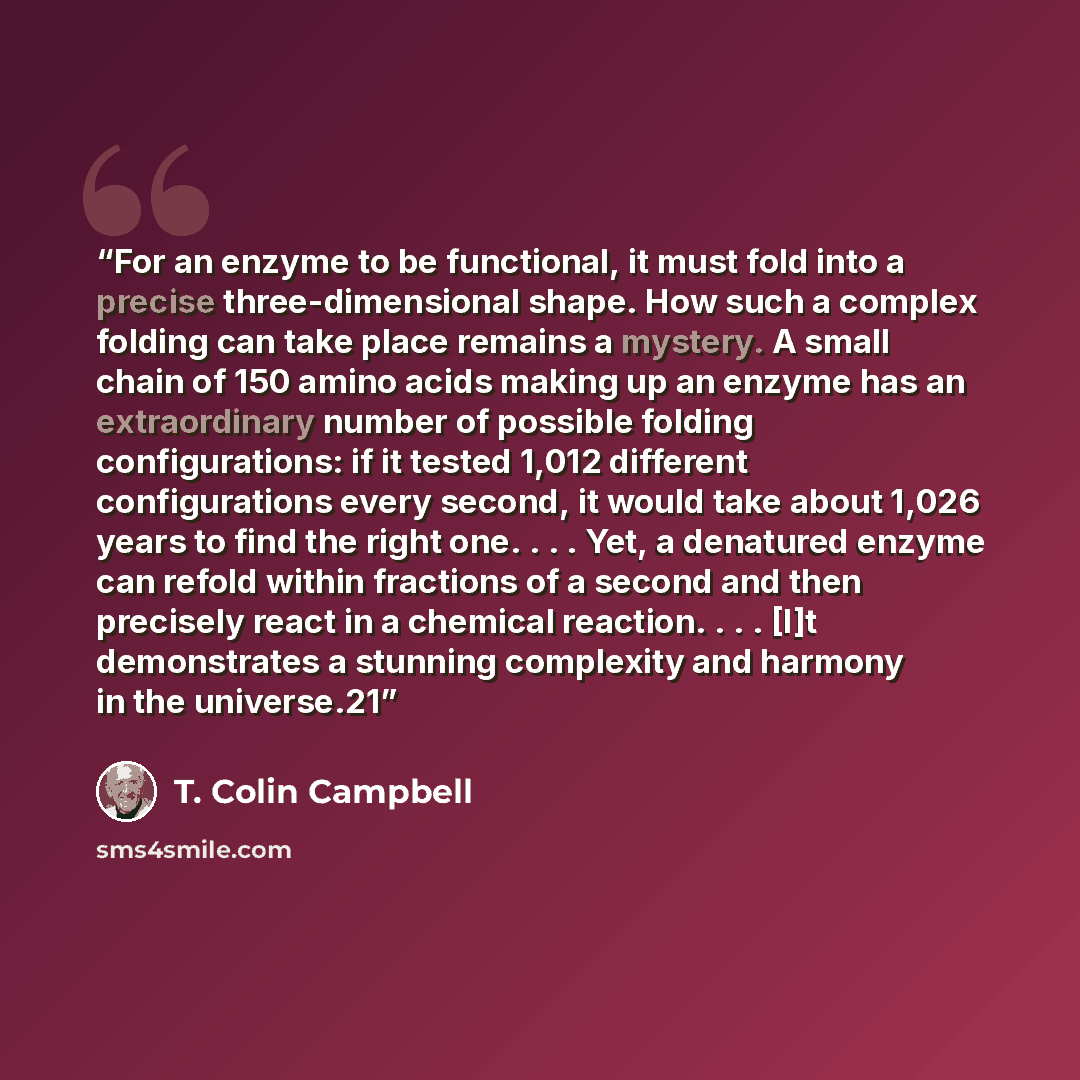 “For an enzyme to be functional, it must fold into a precise three-dimensional shape. How such a complex folding can take place remains a mystery. A small chain of 150 amino acids making up an enzyme has an extraordinary number of possible folding configurations: if it tested 1,012 different…” quote by T. Colin Campbell