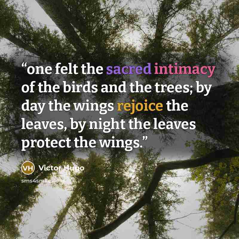 “one felt the sacred intimacy of the birds and the trees; by day the wings rejoice the leaves, by night the leaves protect the wings.” quote by Victor Hugo
