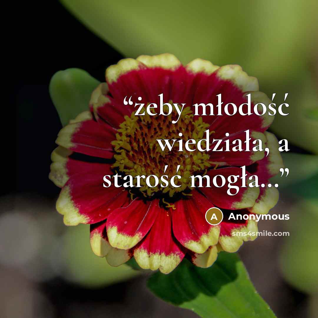 “żeby młodość wiedziała, a starość mogła…” quote by Anonymous