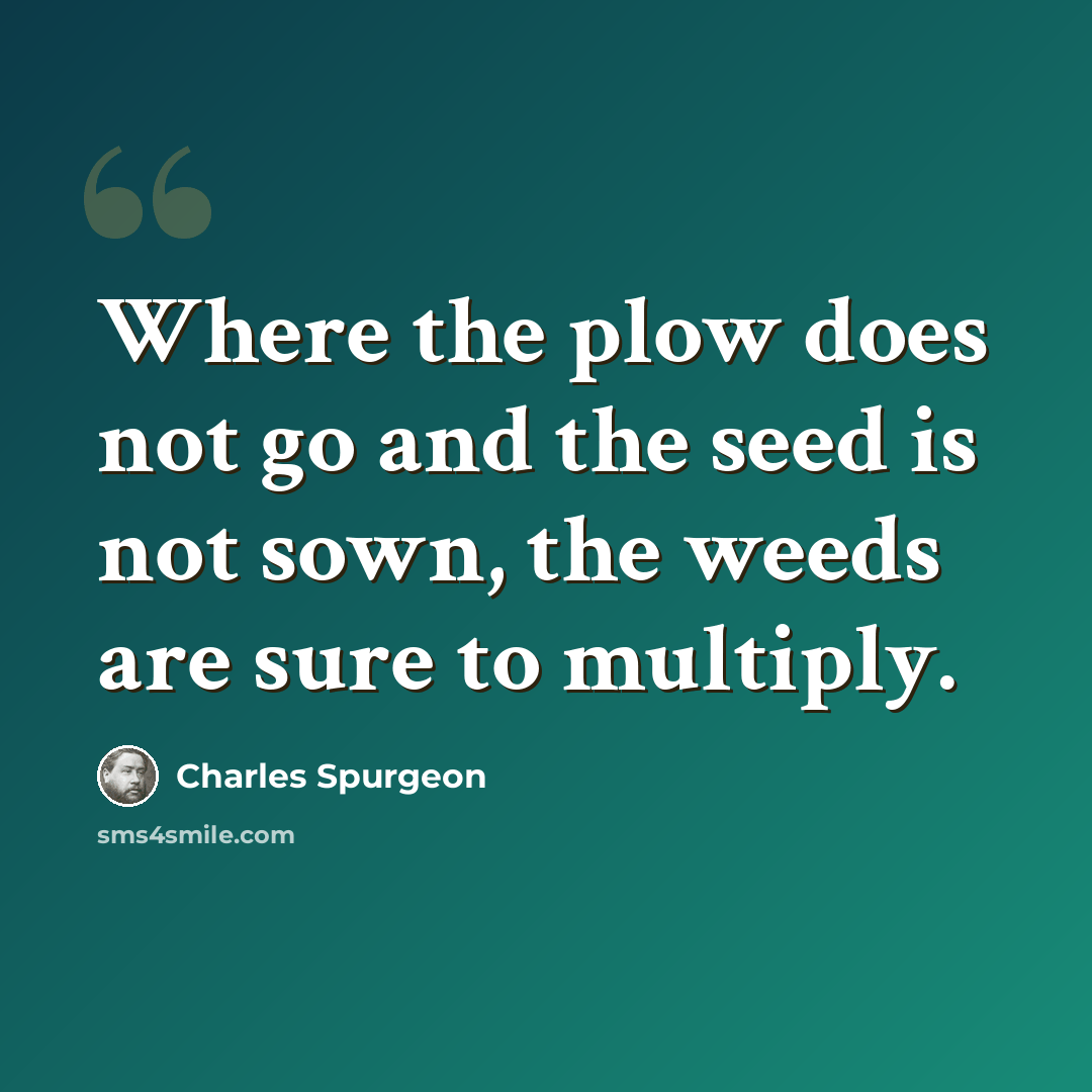 “Where the plow does not go and the seed is not sown, the weeds are sure to multiply.” quote by Charles Spurgeon