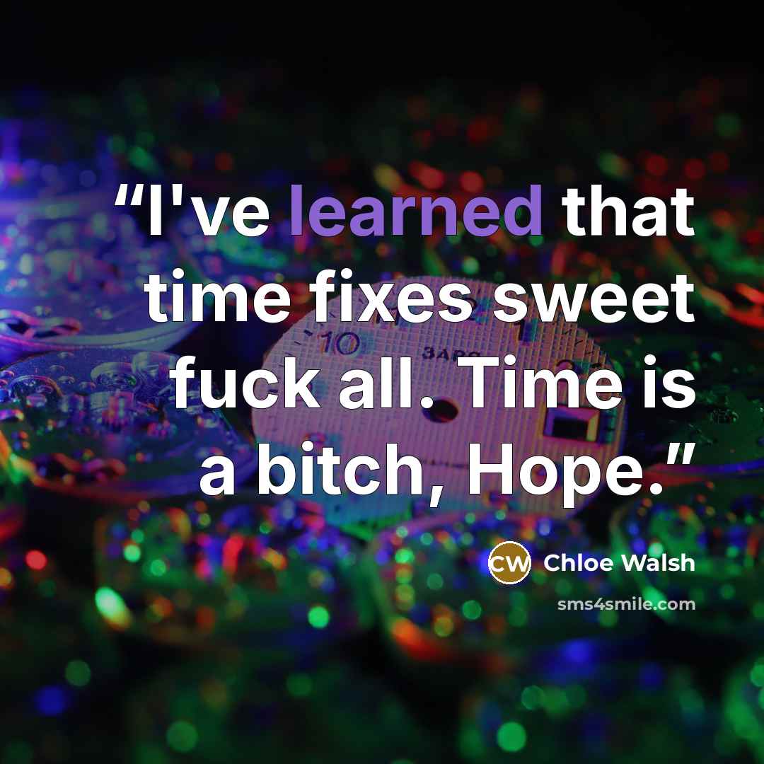 “I've learned that time fixes sweet fuck all. Time is a bitch, Hope.” quote by Chloe Walsh