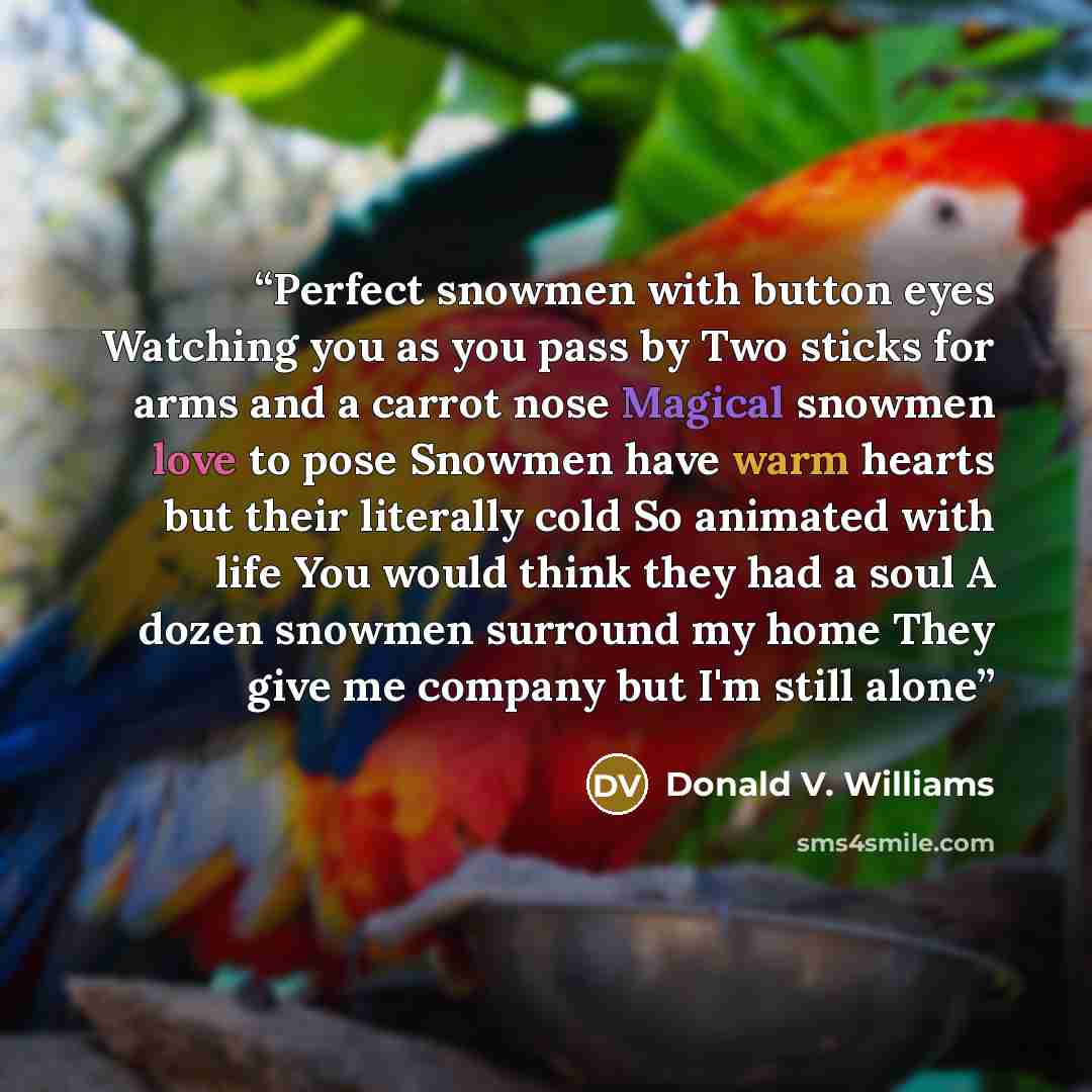 “Perfect snowmen with button eyes Watching you as you pass by Two sticks for arms and a carrot nose Magical snowmen love to pose Snowmen have warm hearts but their literally cold So animated with life You would think they had a soul A dozen snowmen surround my home They give me company but I'm…” quote by Donald V. Williams