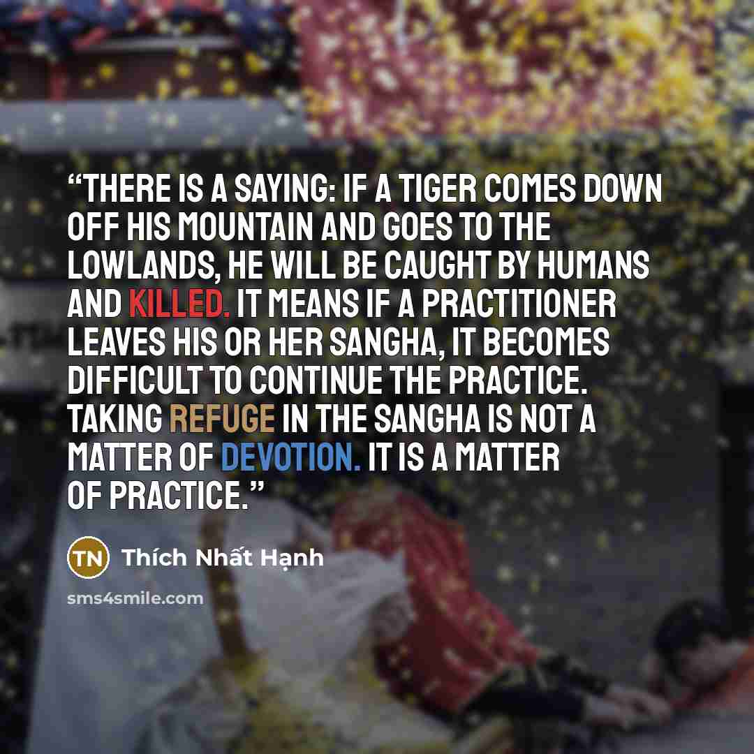 “There is a saying: If a tiger comes down off his mountain and goes to the lowlands, he will be caught by humans and killed. It means if a practitioner leaves his or her Sangha, it becomes difficult to continue the practice. Taking refuge in the Sangha is not a matter of devotion. It is a matter of…” quote by Thich Nhat Hanh