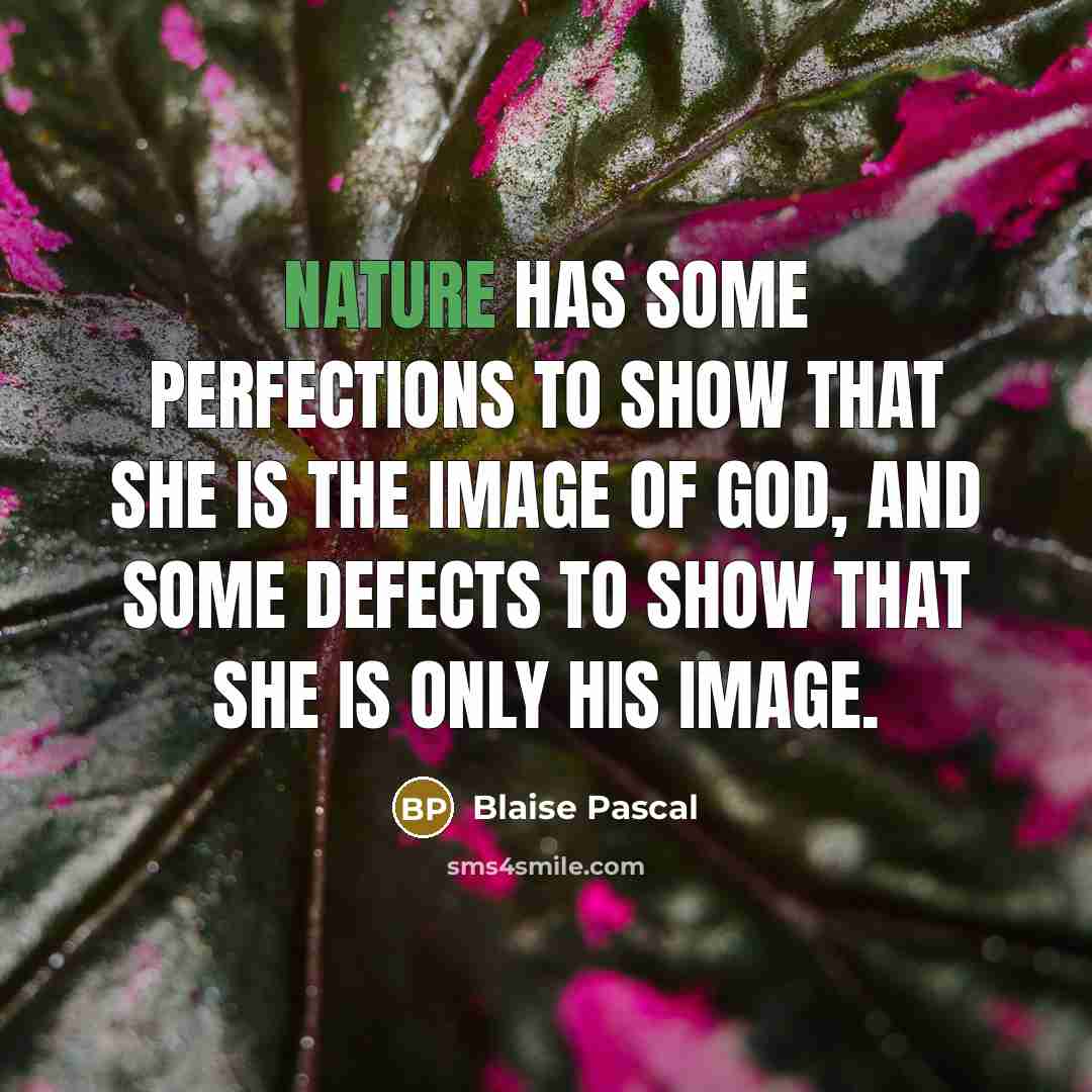 “Nature has some perfections to show that she is the image of God, and some defects to show that she is only His image.” quote by Blaise Pascal
