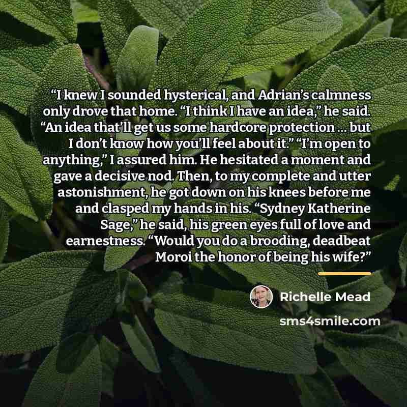 “I knew I sounded hysterical, and Adrian’s calmness only drove that home. “I think I have an idea,” he said. “An idea that’ll get us some hardcore protection … but I don’t know how you’ll feel about it.” “I’m open to anything,” I assured him. He hesitated a moment and gave a decisive nod. Then, to…” quote by Richelle Mead