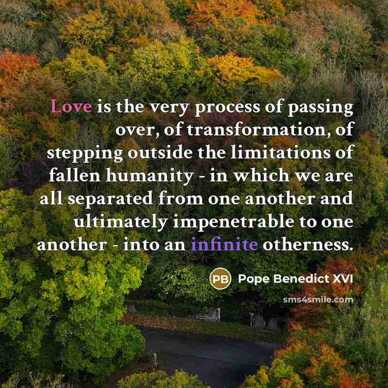 “Love is the very process of passing over, of transformation, of stepping outside the limitations of fallen humanity - in which we are all separated from one another and ultimately impenetrable to one another - into an infinite otherness.” quote by Pope Benedict XVI