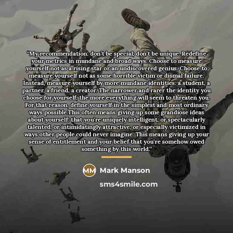 “My recommendation: don’t be special; don’t be unique. Redefine your metrics in mundane and broad ways. Choose to measure yourself not as a rising star or an undiscovered genius. Choose to measure yourself not as some horrible victim or dismal failure. Instead, measure yourself by more mundane…” quote by Mark Manson