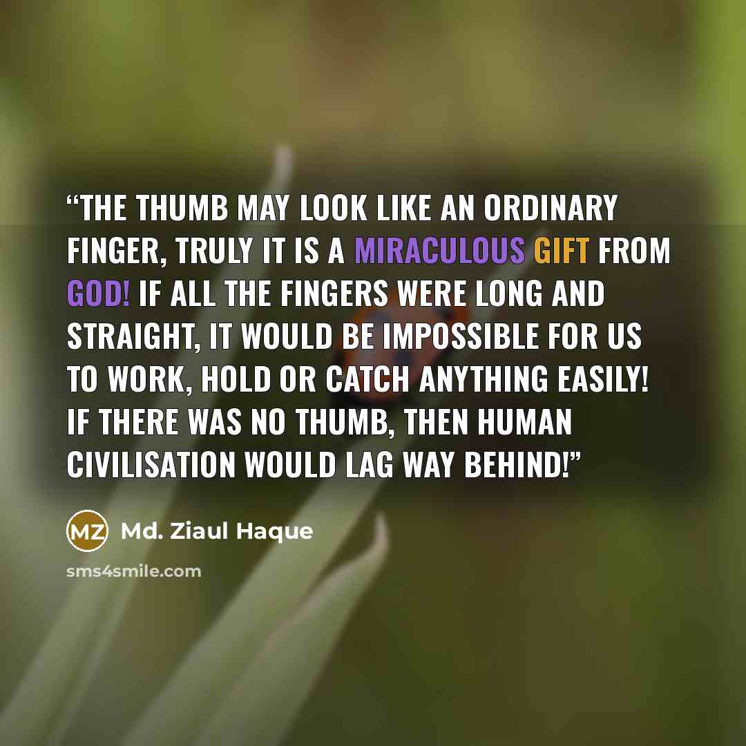 “The thumb may look like an ordinary finger, truly it is a miraculous gift from God! If all the fingers were long and straight, it would be impossible for us to work, hold or catch anything easily! If there was no thumb, then human civilisation would lag way behind!” quote by Md. Ziaul Haque