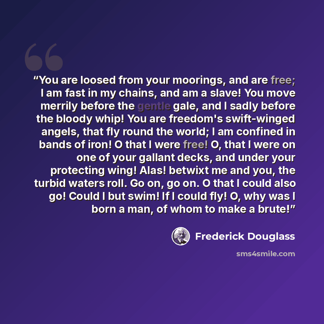 “You are loosed from your moorings, and are free; I am fast in my chains, and am a slave! You move merrily before the gentle gale, and I sadly before the bloody whip! You are freedom's swift-winged angels, that fly round the world; I am confined in bands of iron! O that I were free! O, that I were…” quote by Frederick Douglass