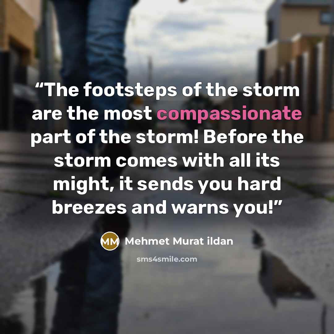 “The footsteps of the storm are the most compassionate part of the storm! Before the storm comes with all its might, it sends you hard breezes and warns you!” quote by Mehmet Murat ildan