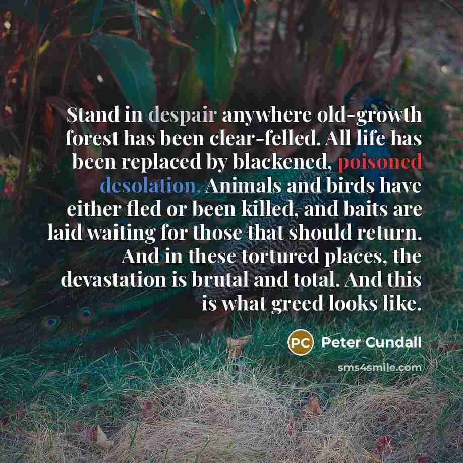 “Stand in despair anywhere old-growth forest has been clear-felled. All life has been replaced by blackened, poisoned desolation. Animals and birds have either fled or been killed, and baits are laid waiting for those that should return. And in these tortured places, the devastation is brutal and…” quote by Peter Cundall