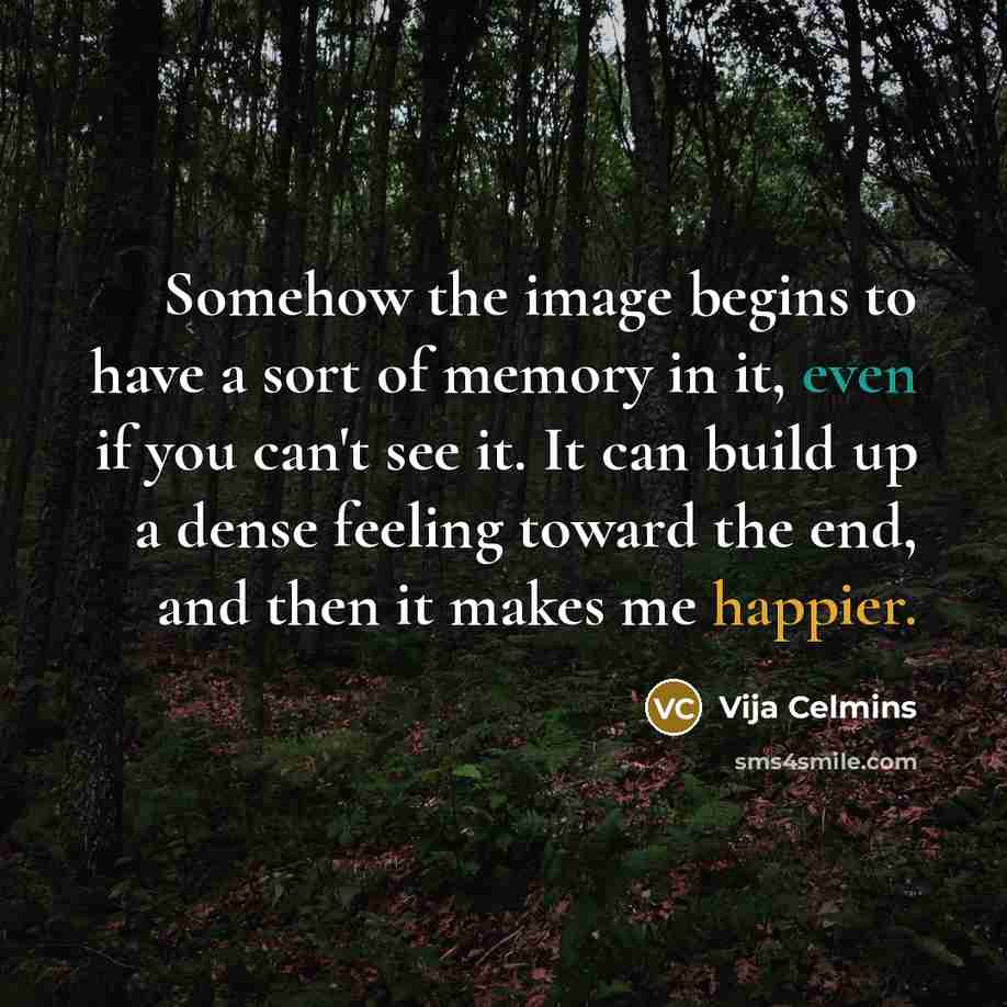 “Somehow the image begins to have a sort of memory in it, even if you can't see it. It can build up a dense feeling toward the end, and then it makes me happier.” quote by Vija Celmins