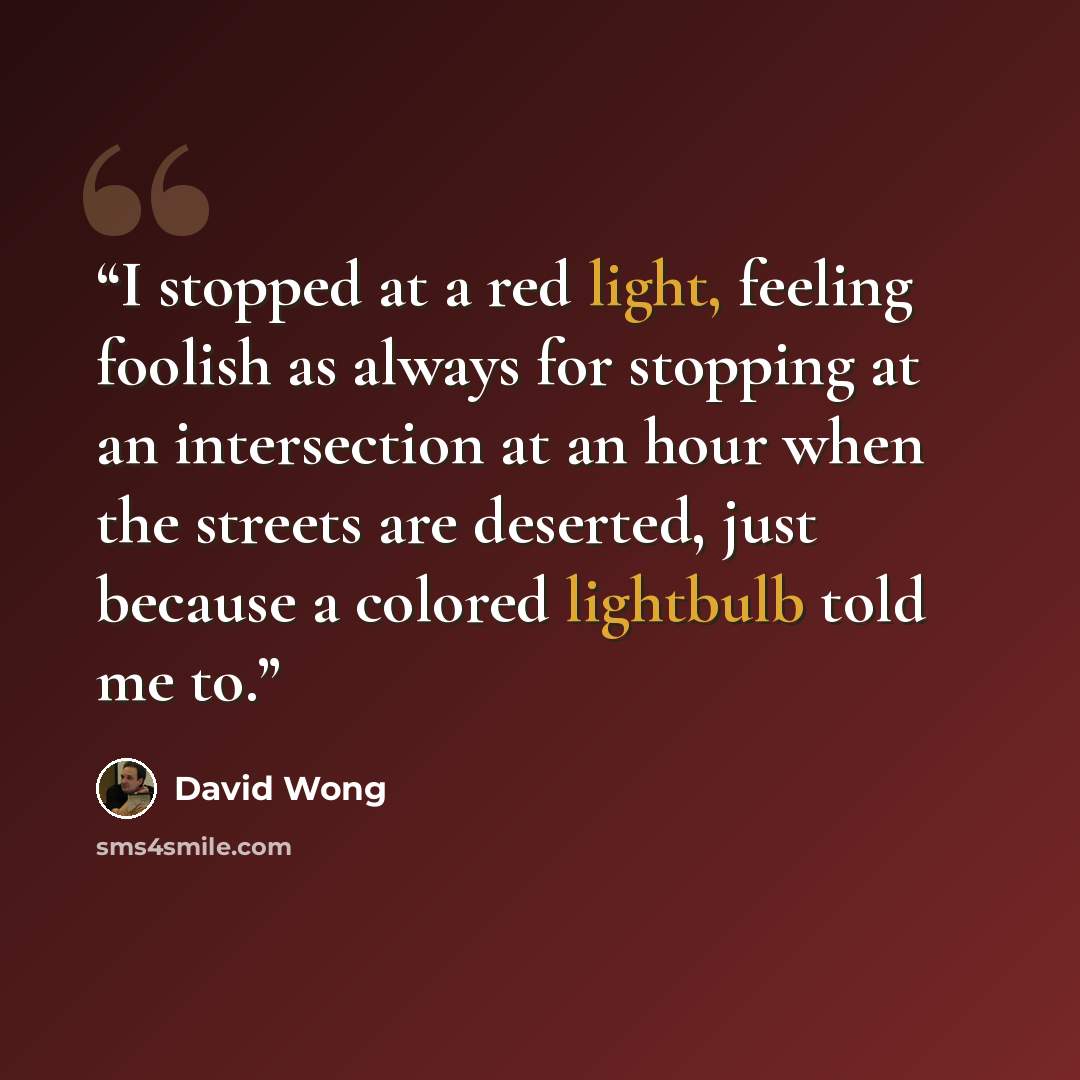 “I stopped at a red light, feeling foolish as always for stopping at an intersection at an hour when the streets are deserted, just because a colored lightbulb told me to.” quote by David Wong