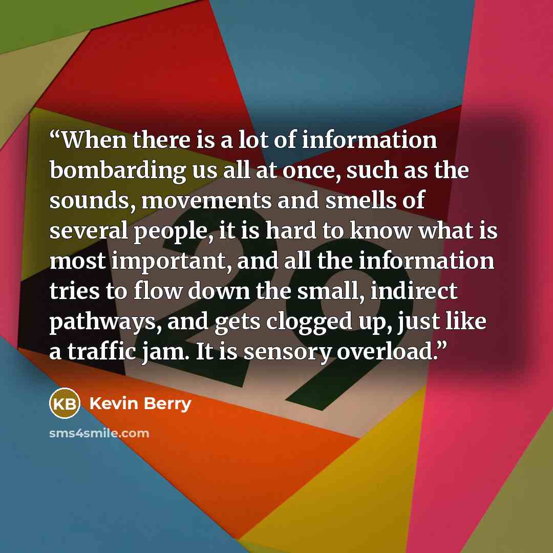 “When there is a lot of information bombarding us all at once, such as the sounds, movements and smells of several people, it is hard to know what is most important, and all the information tries to flow down the small, indirect pathways, and gets clogged up, just like a traffic jam. It is sensory…” quote by Kevin Berry