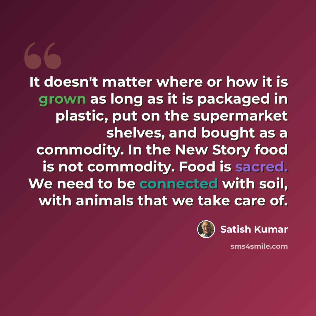 “It doesn't matter where or how it is grown as long as it is packaged in plastic, put on the supermarket shelves, and bought as a commodity. In the New Story food is not commodity. Food is sacred. We need to be connected with soil, with animals that we take care of.” quote by Satish Kumar