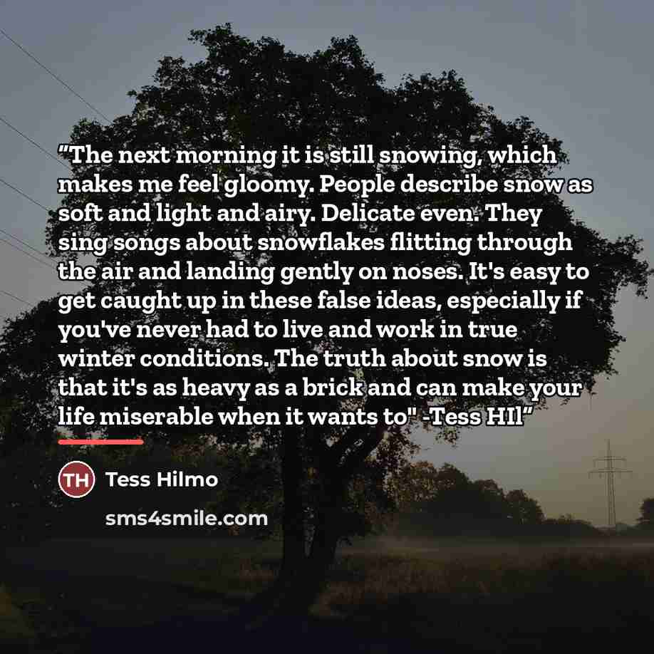 “The next morning it is still snowing, which makes me feel gloomy. People describe snow as soft and light and airy. Delicate even. They sing songs about snowflakes flitting through the air and landing gently on noses. It's easy to get caught up in these false ideas, especially if you've never had…” quote by Tess Hilmo