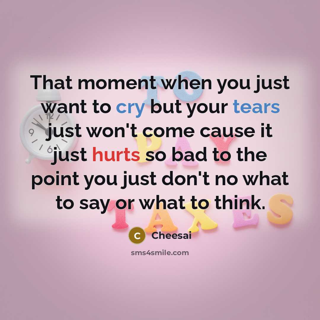 “That moment when you just want to cry but your tears just won't come cause it just hurts so bad to the point you just don't no what to say or what to think.” quote by Cheesai