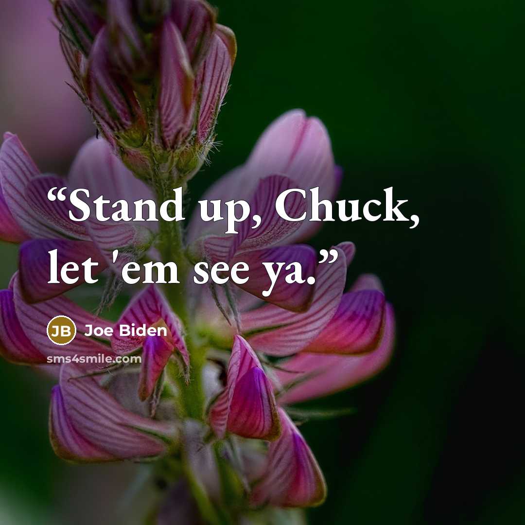 “Stand up, Chuck, let 'em see ya.” quote by Joe Biden