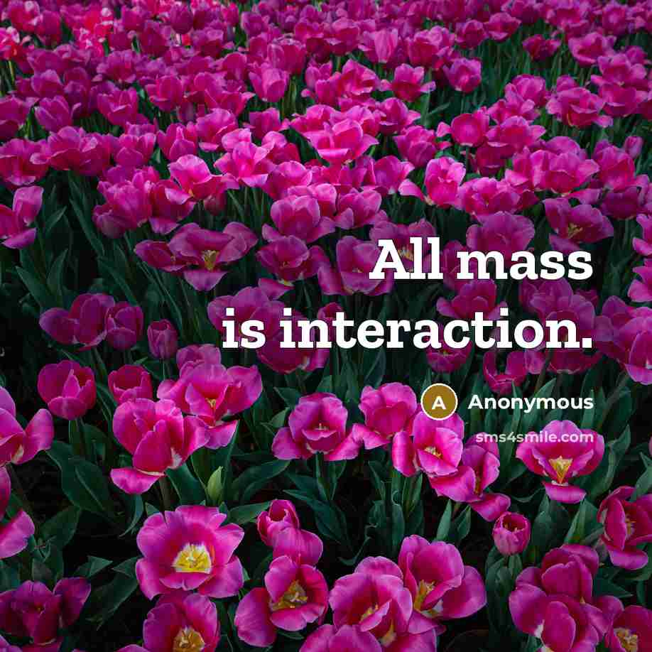 “All mass is interaction.” quote by Anonymous