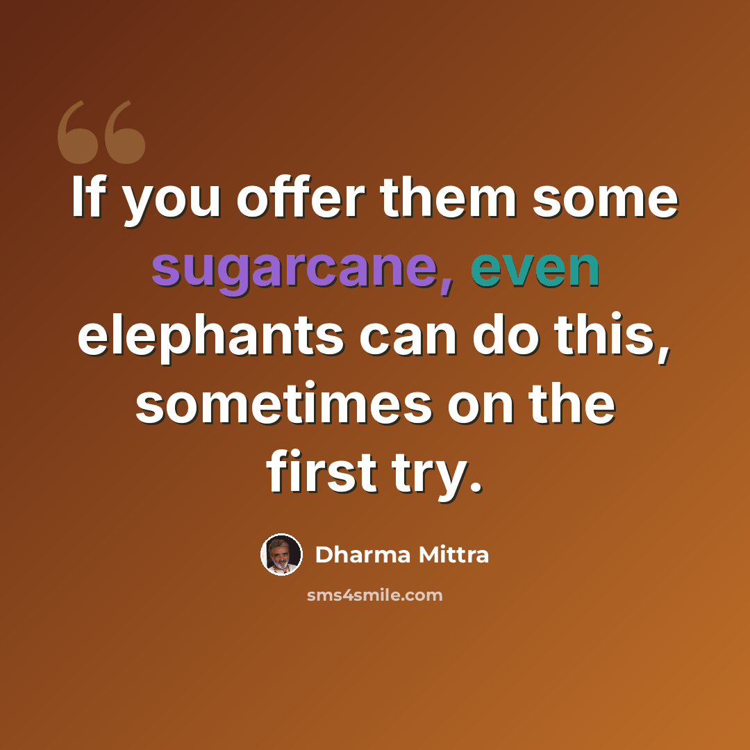 “If you offer them some sugarcane, even elephants can do this, sometimes on the first try.” quote by Dharma Mittra