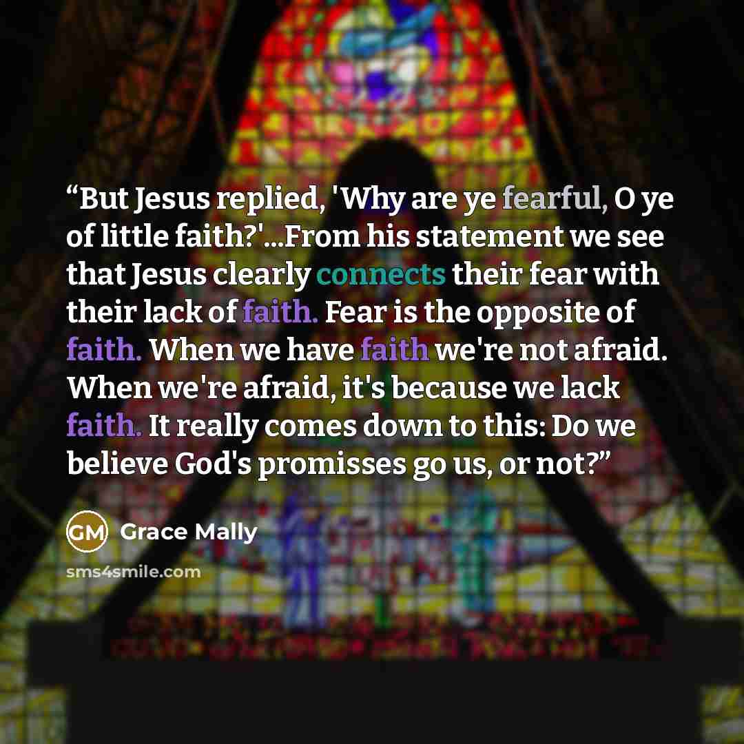 “But Jesus replied, 'Why are ye fearful, O ye of little faith?'...From his statement we see that Jesus clearly connects their fear with their lack of faith. Fear is the opposite of faith. When we have faith we're not afraid. When we're afraid, it's because we lack faith. It really comes down to…” quote by Grace Mally