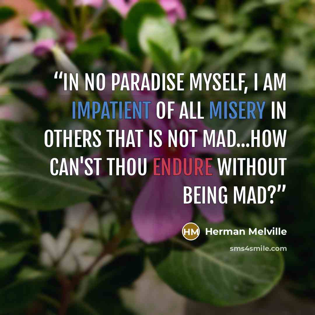 “In no Paradise myself, I am impatient of all misery in others that is not mad...How can'st thou endure without being mad?” quote by Herman Melville