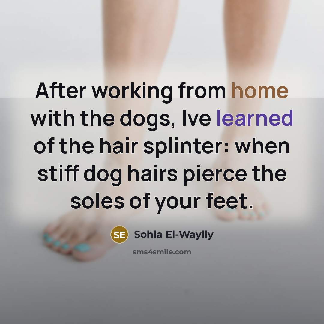 “After working from home with the dogs, Ive learned of the hair splinter: when stiff dog hairs pierce the soles of your feet.” quote by Sohla El-Waylly