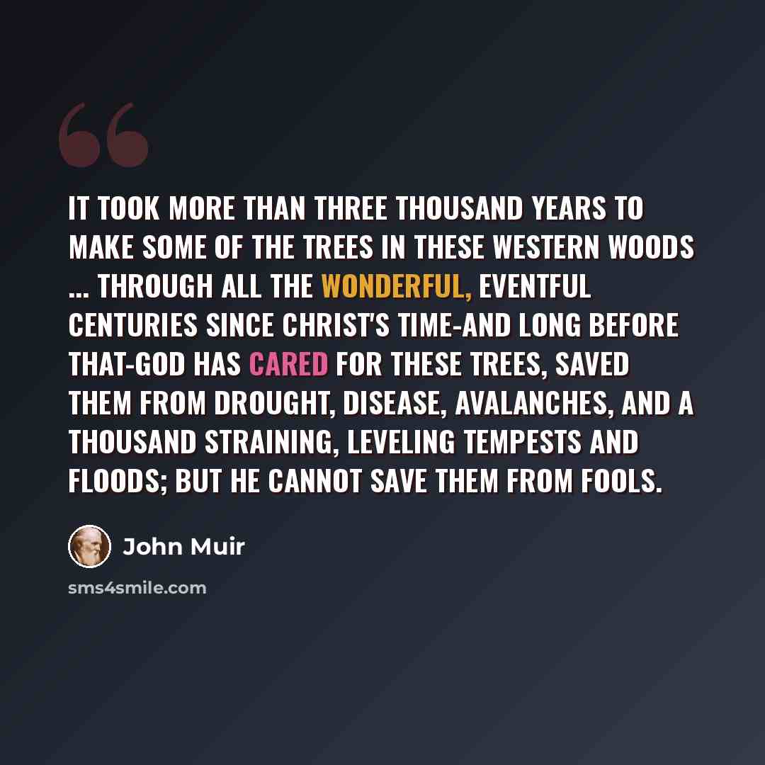 “It took more than three thousand years to make some of the trees in these western woods ... Through all the wonderful, eventful centuries since Christ's time-and long before that-God has cared for these trees, saved them from drought, disease, avalanches, and a thousand straining, leveling…” quote by John Muir