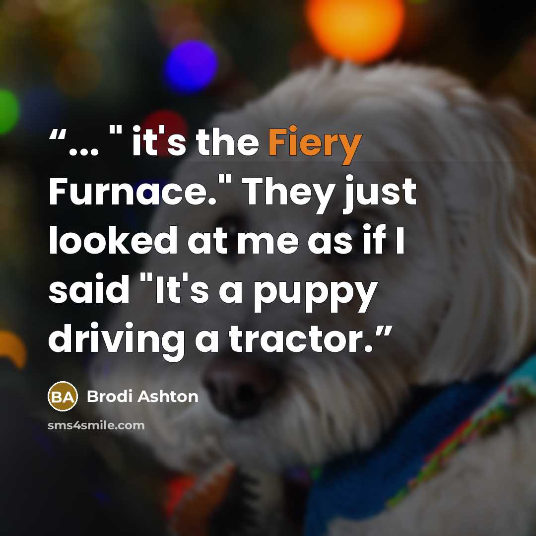 “... " it's the Fiery Furnace." They just looked at me as if I said "It's a puppy driving a tractor.” quote by Brodi Ashton