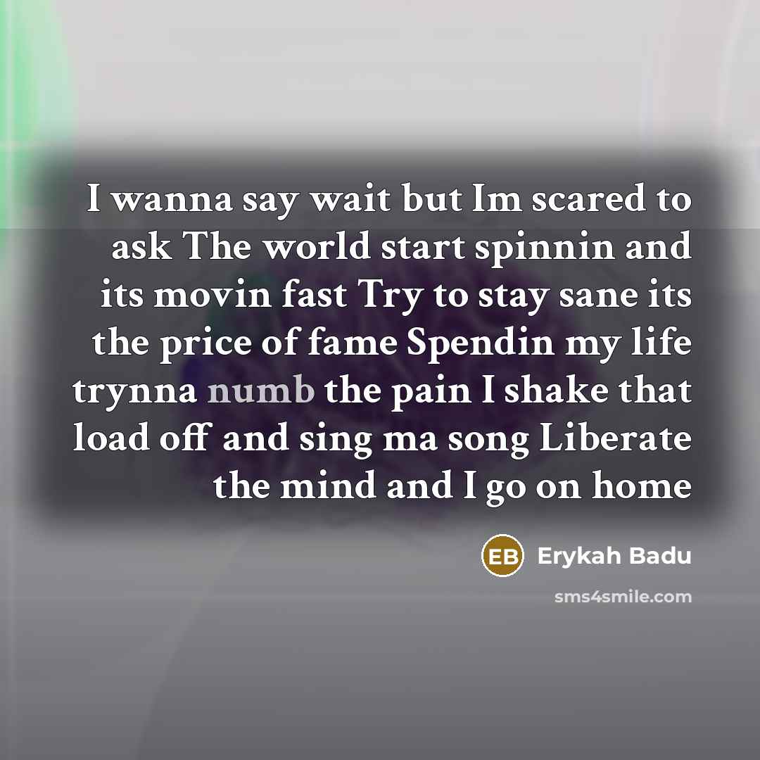 “I wanna say wait but Im scared to ask The world start spinnin and its movin fast Try to stay sane its the price of fame Spendin my life trynna numb the pain I shake that load off and sing ma song Liberate the mind and I go on home” quote by Erykah Badu