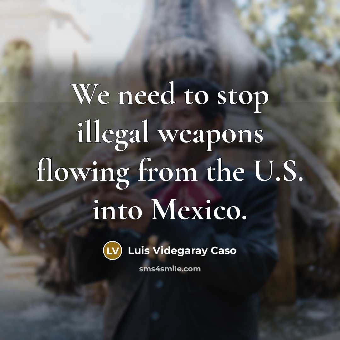 “We need to stop illegal weapons flowing from the U.S. into Mexico.” quote by Luis Videgaray Caso