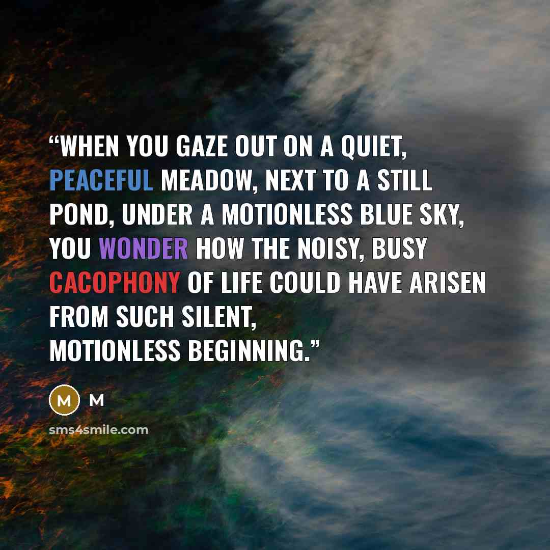 “When you gaze out on a quiet, peaceful meadow, next to a still pond, under a motionless blue sky, you wonder how the noisy, busy cacophony of life could have arisen from such silent, motionless beginning.” quote by M