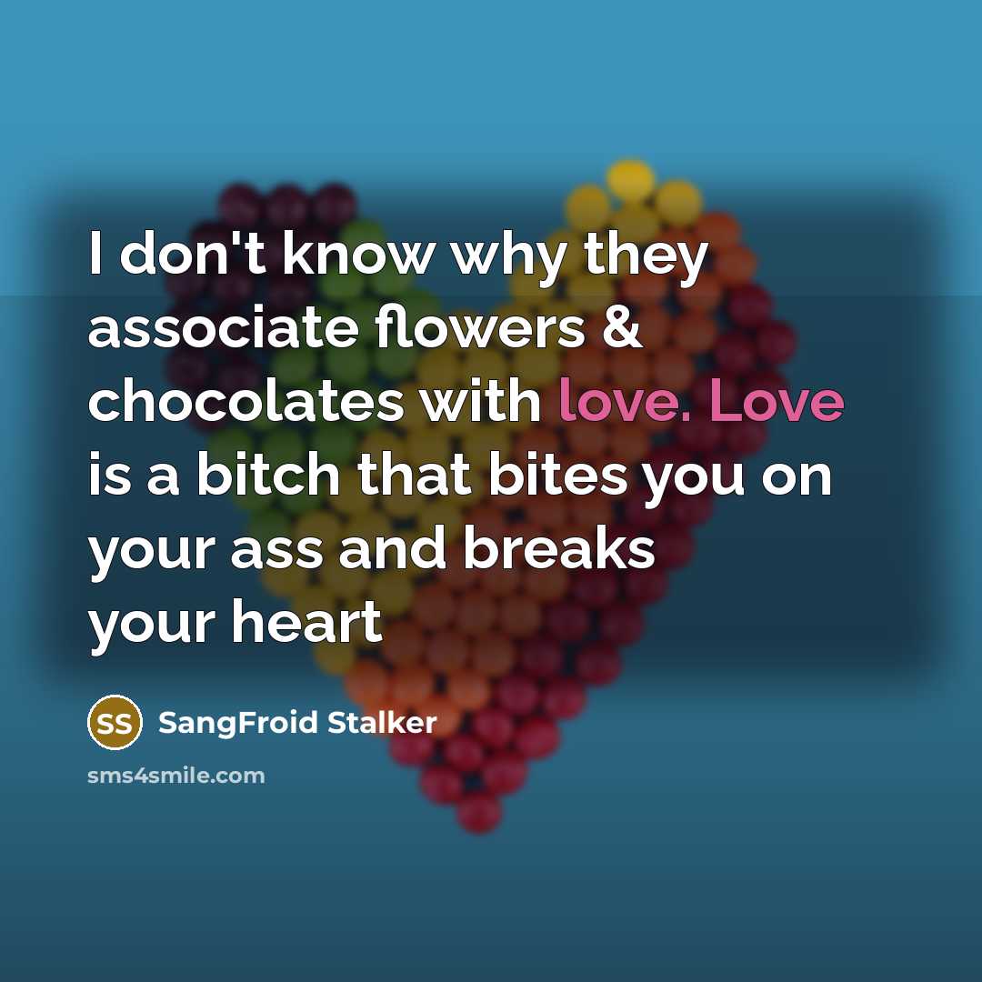 “I don't know why they associate flowers & chocolates with love. Love is a bitch that bites you on your ass and breaks your heart” quote by SangFroid Stalker