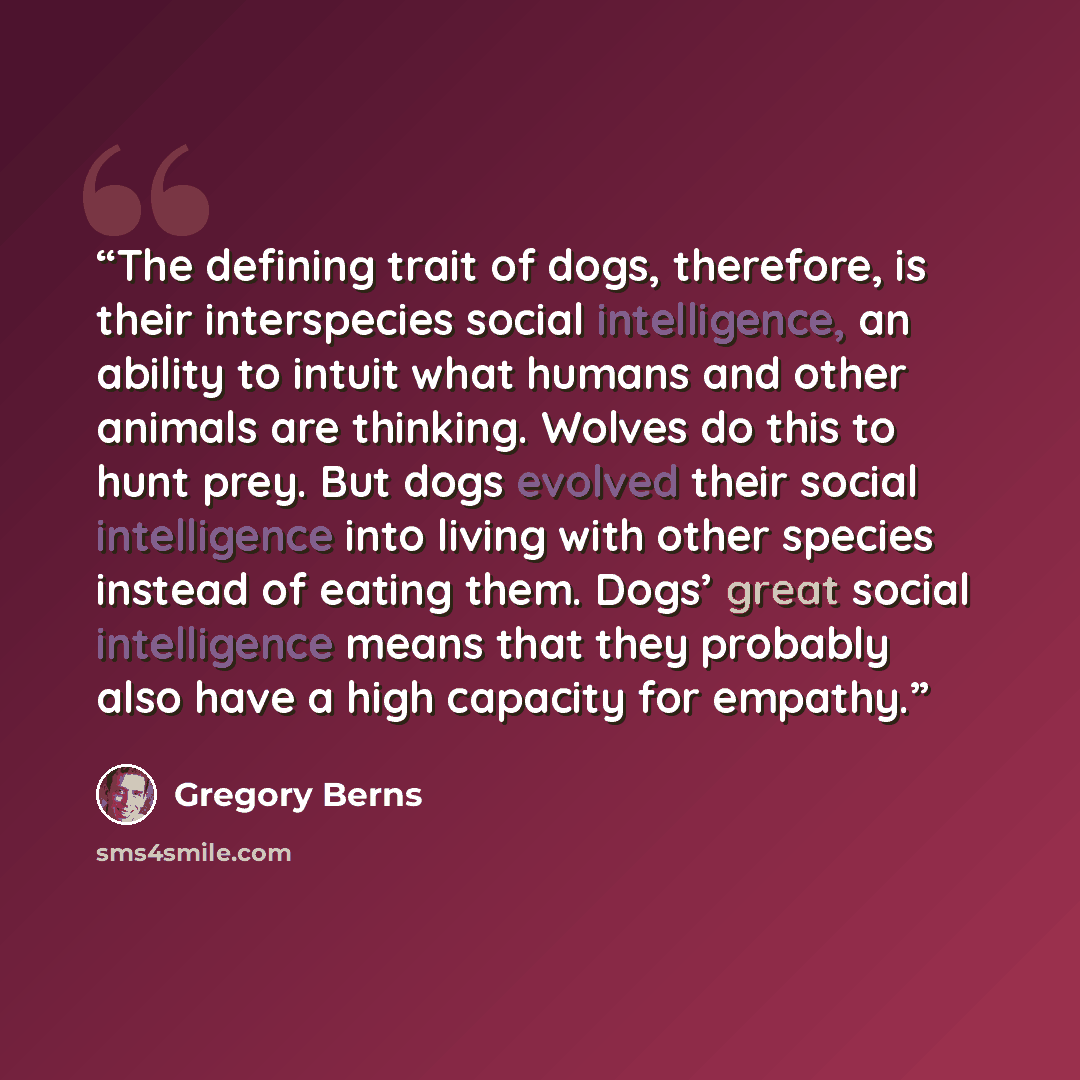 “The defining trait of dogs, therefore, is their interspecies social intelligence, an ability to intuit what humans and other animals are thinking. Wolves do this to hunt prey. But dogs evolved their social intelligence into living with other species instead of eating them. Dogs’ great social…” quote by Gregory Berns
