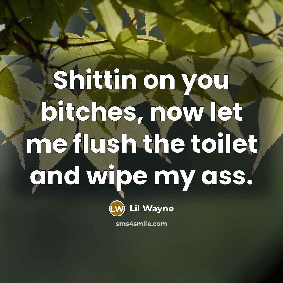 “Shittin on you bitches, now let me flush the toilet and wipe my ass.” quote by Lil Wayne