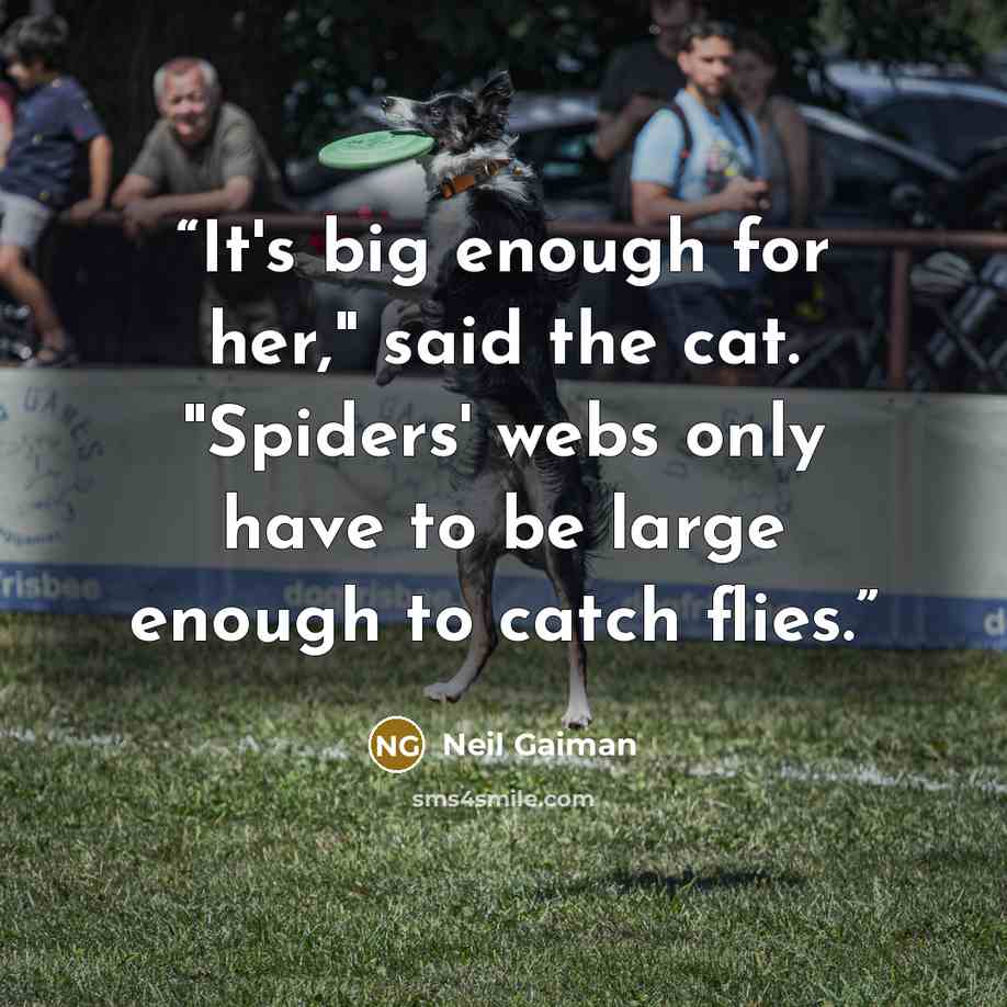 “It's big enough for her," said the cat. "Spiders' webs only have to be large enough to catch flies.” quote by Neil Gaiman