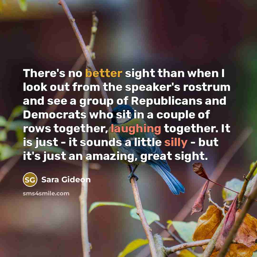 “There's no better sight than when I look out from the speaker's rostrum and see a group of Republicans and Democrats who sit in a couple of rows together, laughing together. It is just - it sounds a little silly - but it's just an amazing, great sight.” quote by Sara Gideon
