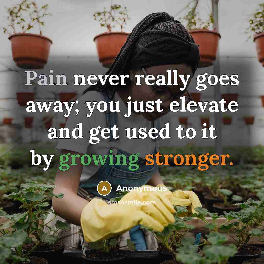 “Pain never really goes away; you just elevate and get used to it by growing stronger.” quote by Anonymous