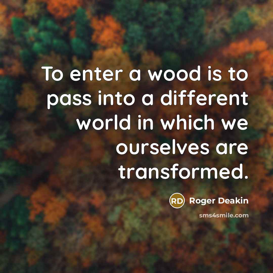 “To enter a wood is to pass into a different world in which we ourselves are transformed.” quote by Roger Deakin