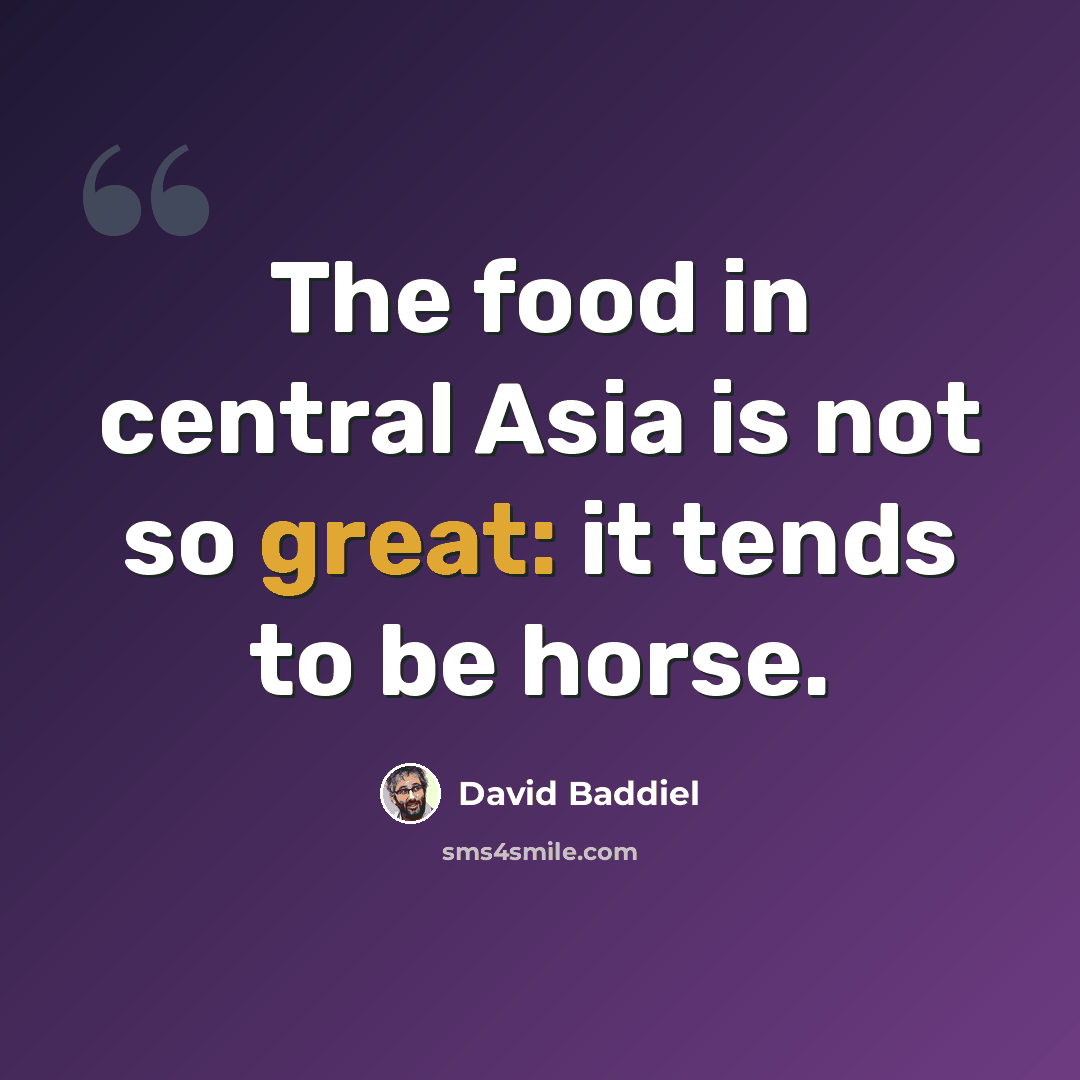 “The food in central Asia is not so great: it tends to be horse.” quote by David Baddiel
