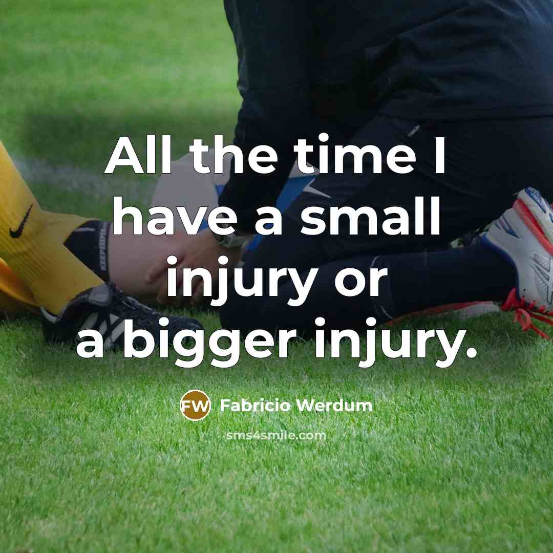 “All the time I have a small injury or a bigger injury.” quote by Fabricio Werdum