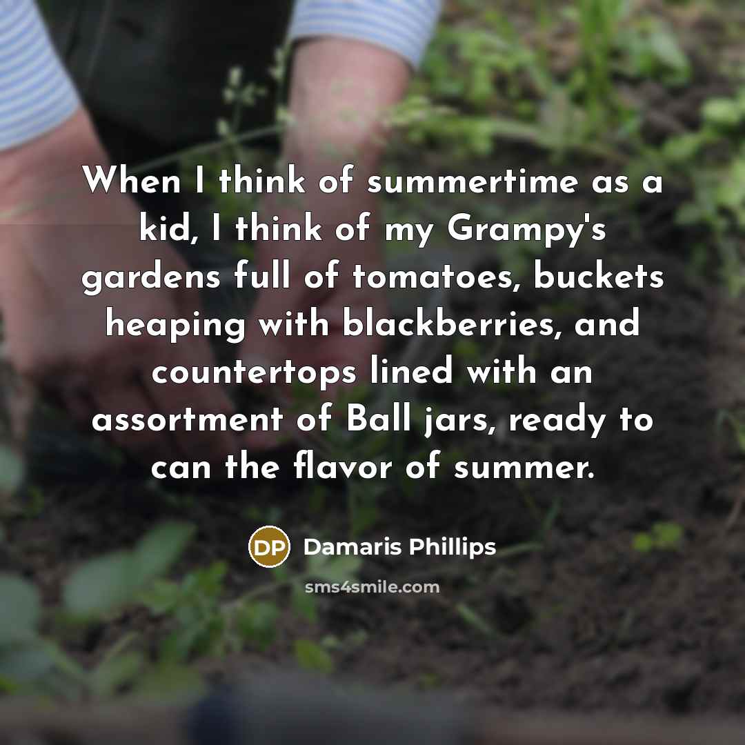 “When I think of summertime as a kid, I think of my Grampy's gardens full of tomatoes, buckets heaping with blackberries, and countertops lined with an assortment of Ball jars, ready to can the flavor of summer.” quote by Damaris Phillips
